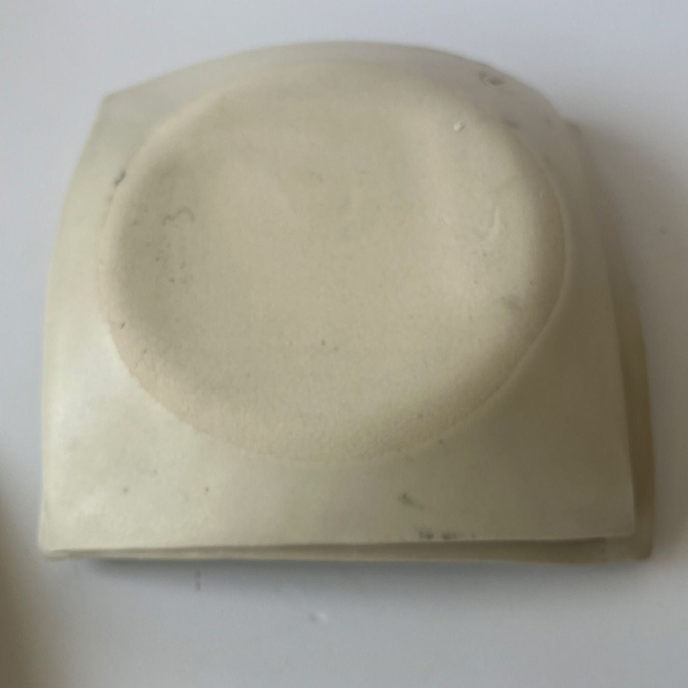 SQUARE PLATES - ginkgo print